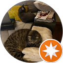 Jamy profile picture